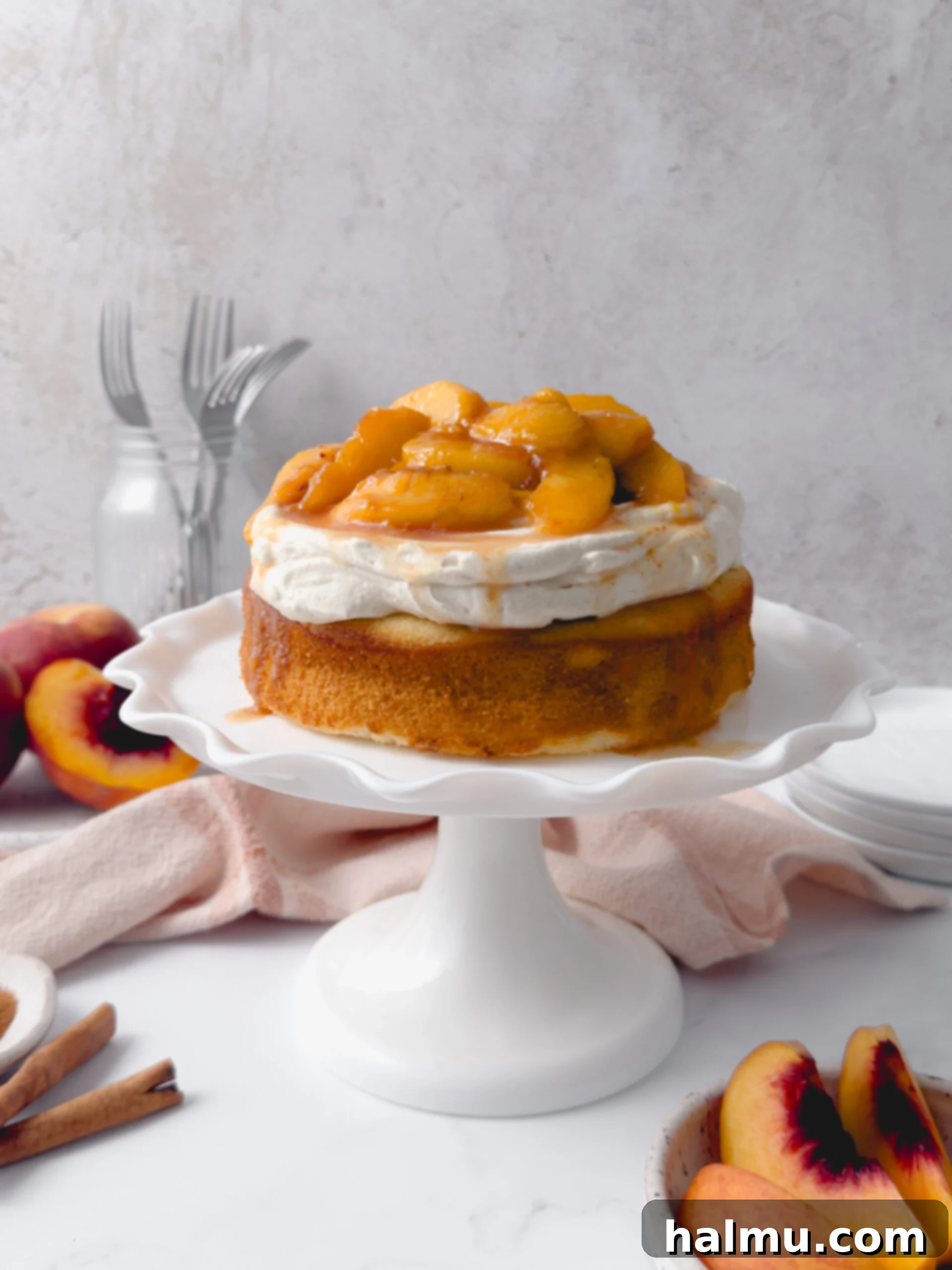 Peach Shortcake 1 featured 84813