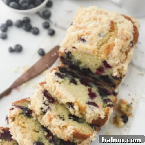 Blueberry Streusel Coffee Cake Loaf