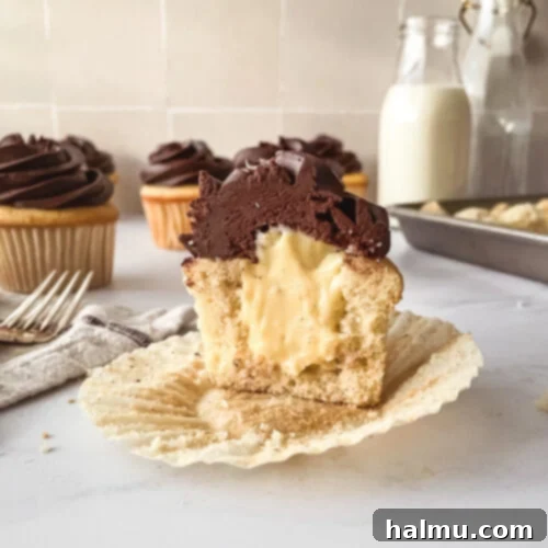 Boston Cream Cupcakes with chocolate ganache and vanilla pastry cream