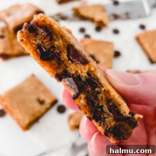 A delicious brown butter blondie bar, golden brown with melted chocolate, served on a plate.