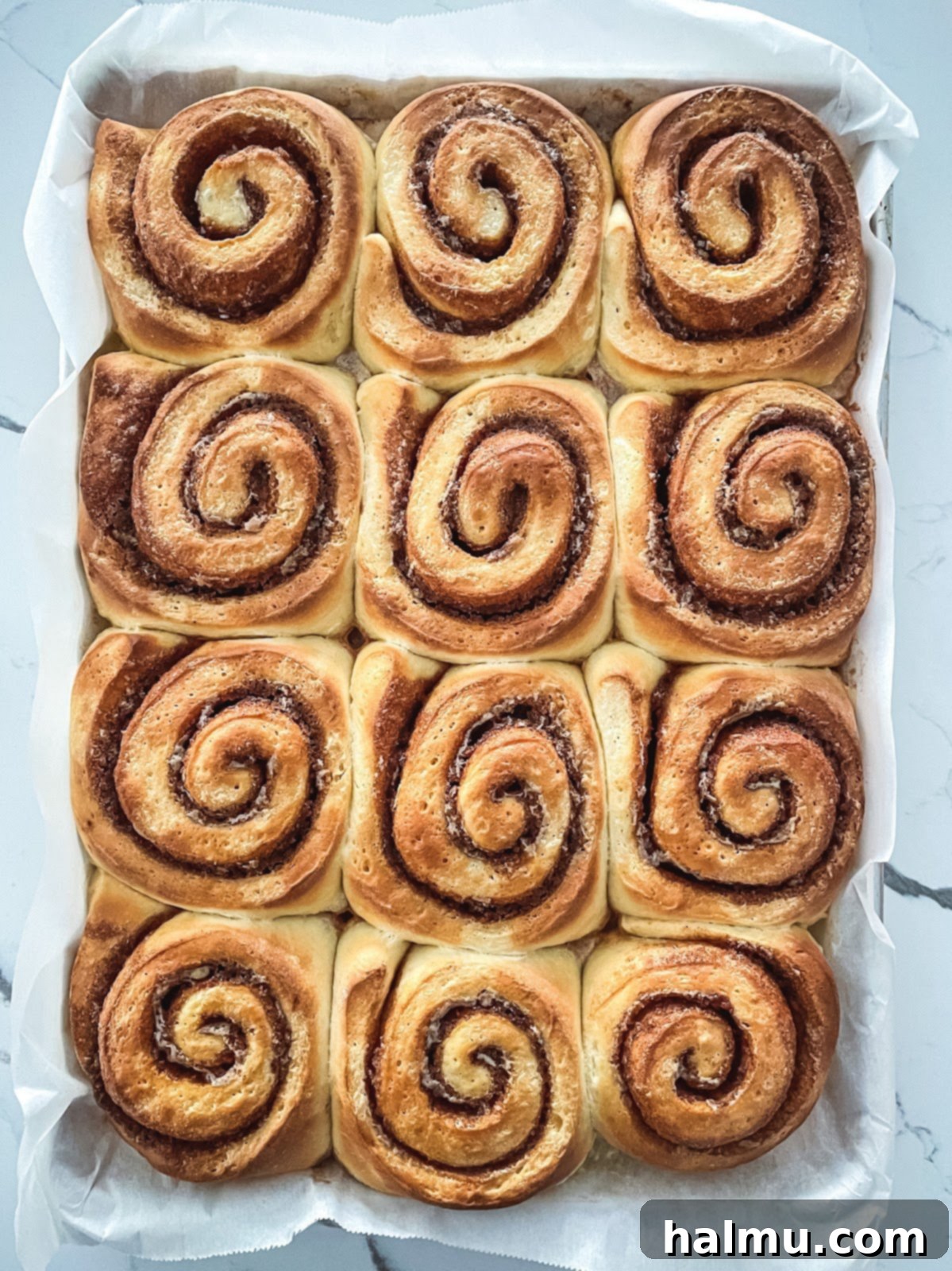 Golden Brown Butter Brioche Cinnamon Swirls 6 A close-up of a freshly baked brown butter brioche cinnamon roll, still warm, with visible golden-brown spirals.