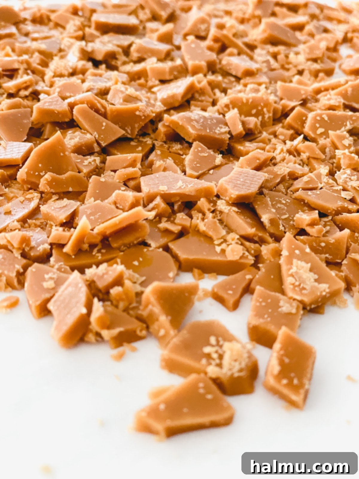 Gooey Brown Butter Toffee Skillet Cookie 8 A scoop of vanilla ice cream melting on top of a warm brown butter toffee skillet cookie, served in a cast iron pan.