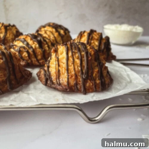 A perfectly baked Chewy Coconut Macaroon with a light chocolate drizzle on top.