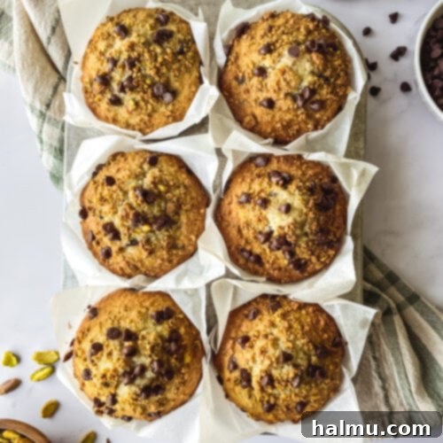 Chocolate Chip Pistachio Muffins