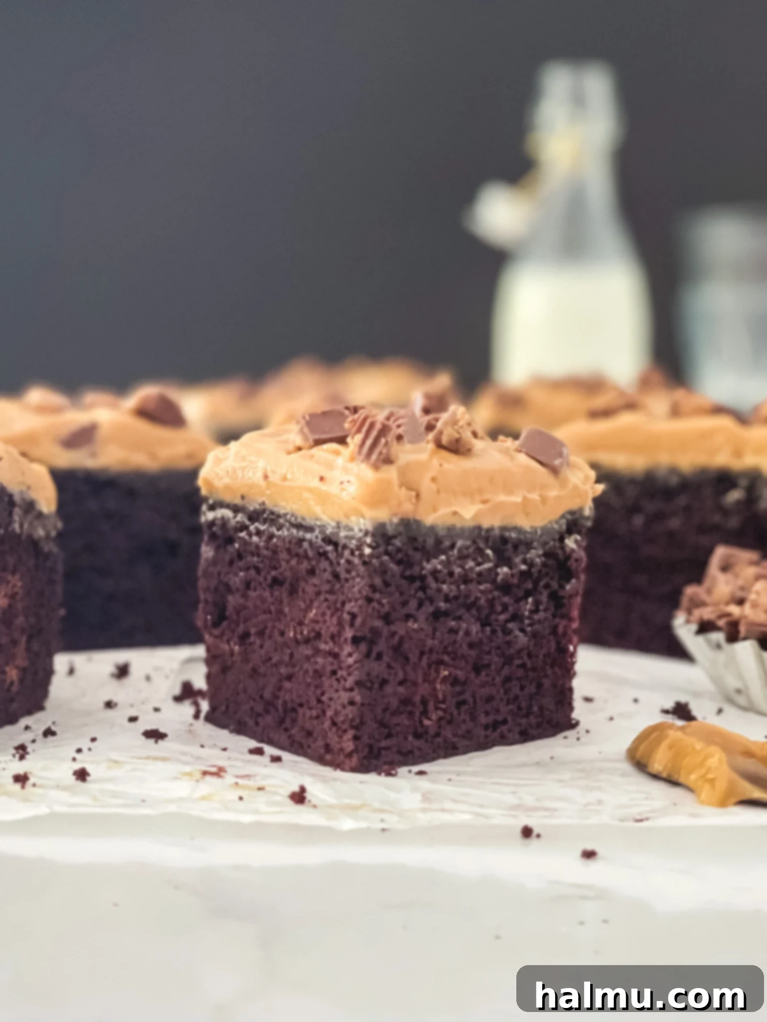 Chocolate Peanut Butter Dream Treat 2 A tall slice of Chocolate Peanut Butter Snack Cake, showing its moist chocolate cake layer and fluffy peanut butter mousse topping.