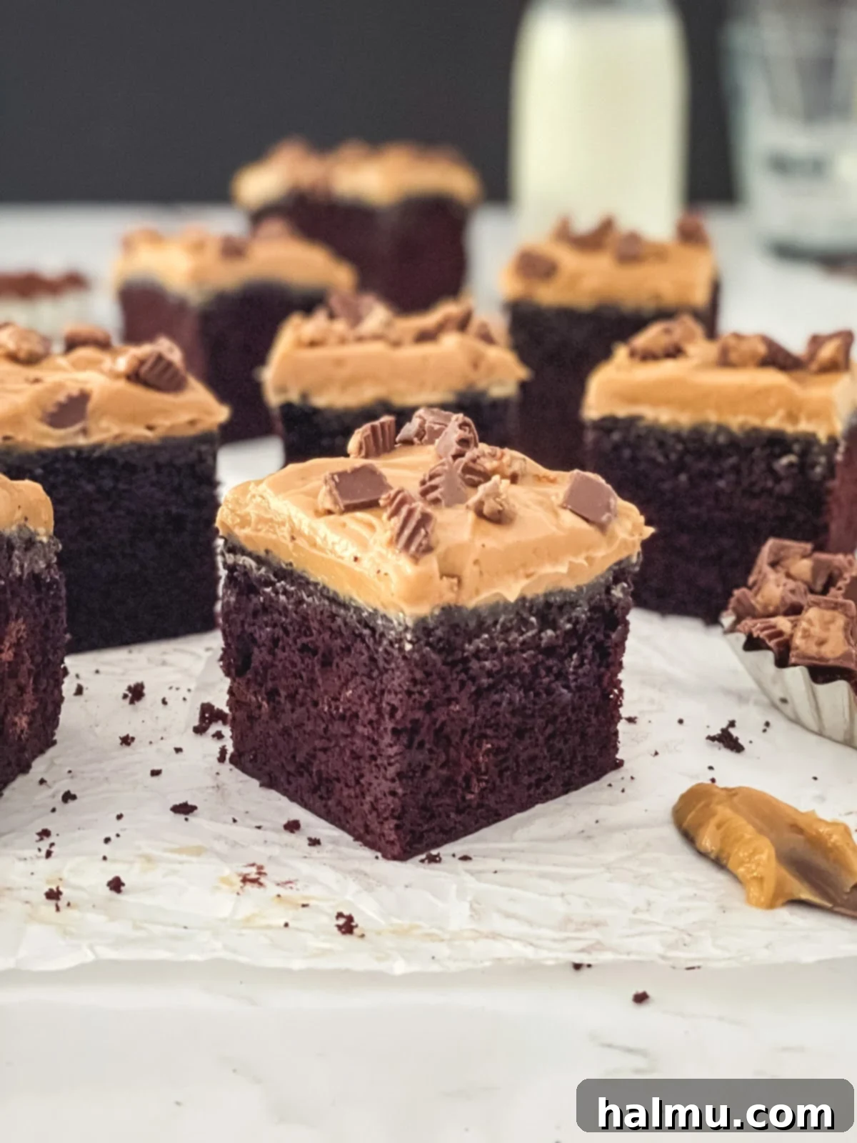 Chocolate Peanut Butter Dream Treat 3 Another close-up shot of the Chocolate Peanut Butter Snack Cake, highlighting the texture of the mousse and the dense cake.