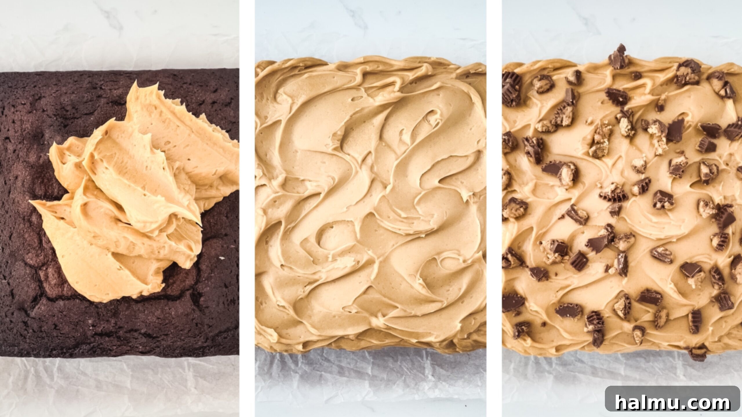 Chocolate Peanut Butter Dream Treat 7 Frosted Chocolate Peanut Butter Snack Cake with a swirl pattern, ready for serving.