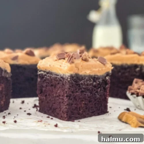 Chocolate Peanut Butter Dream Treat 10 A square slice of Chocolate Peanut Butter Snack Cake, topped with light peanut butter mousse and chocolate shavings.