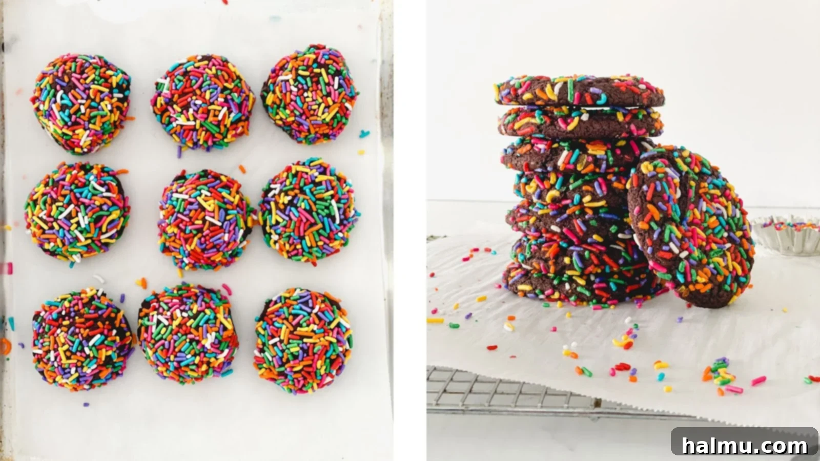 Chocolate Sprinkle Cookie Ice Cream Stacks 7 A round metal cutter being used to cut ice cream from a slab.