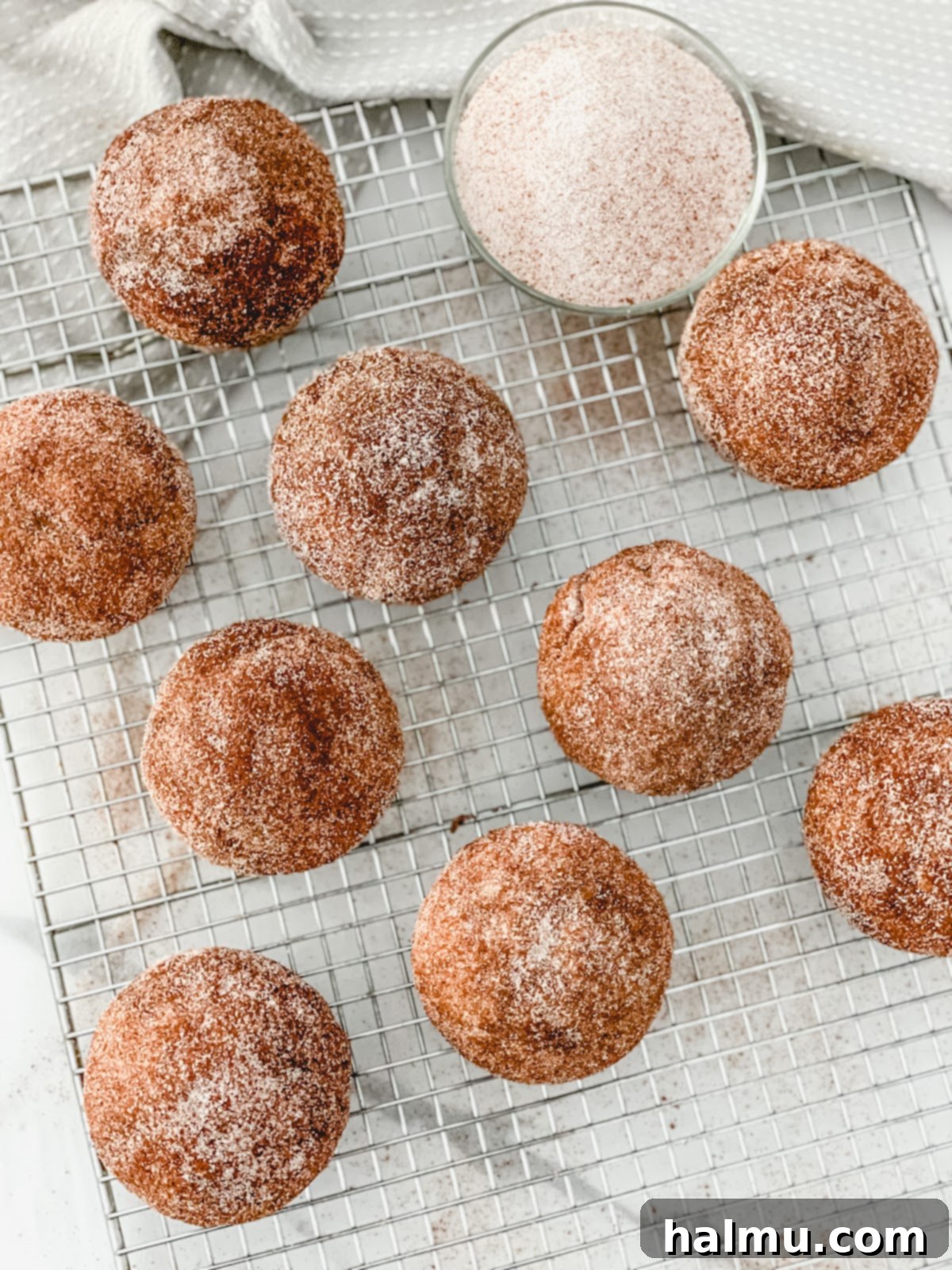 Close-up of baked Cinnamon Sugar Donut Muffins