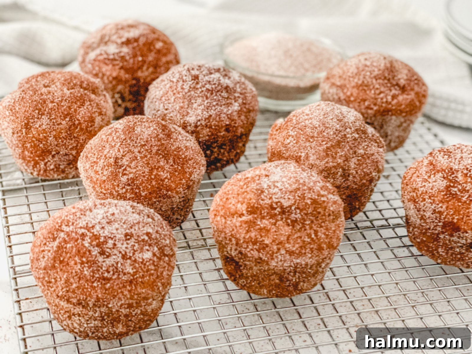 Ingredients for Cinnamon Sugar Donut Muffins laid out on a table