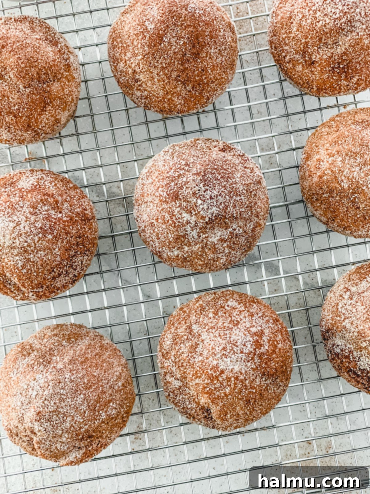 A baked muffin being rolled in cinnamon sugar