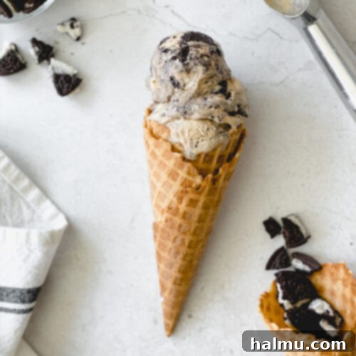 Espresso Oreo Ice Cream