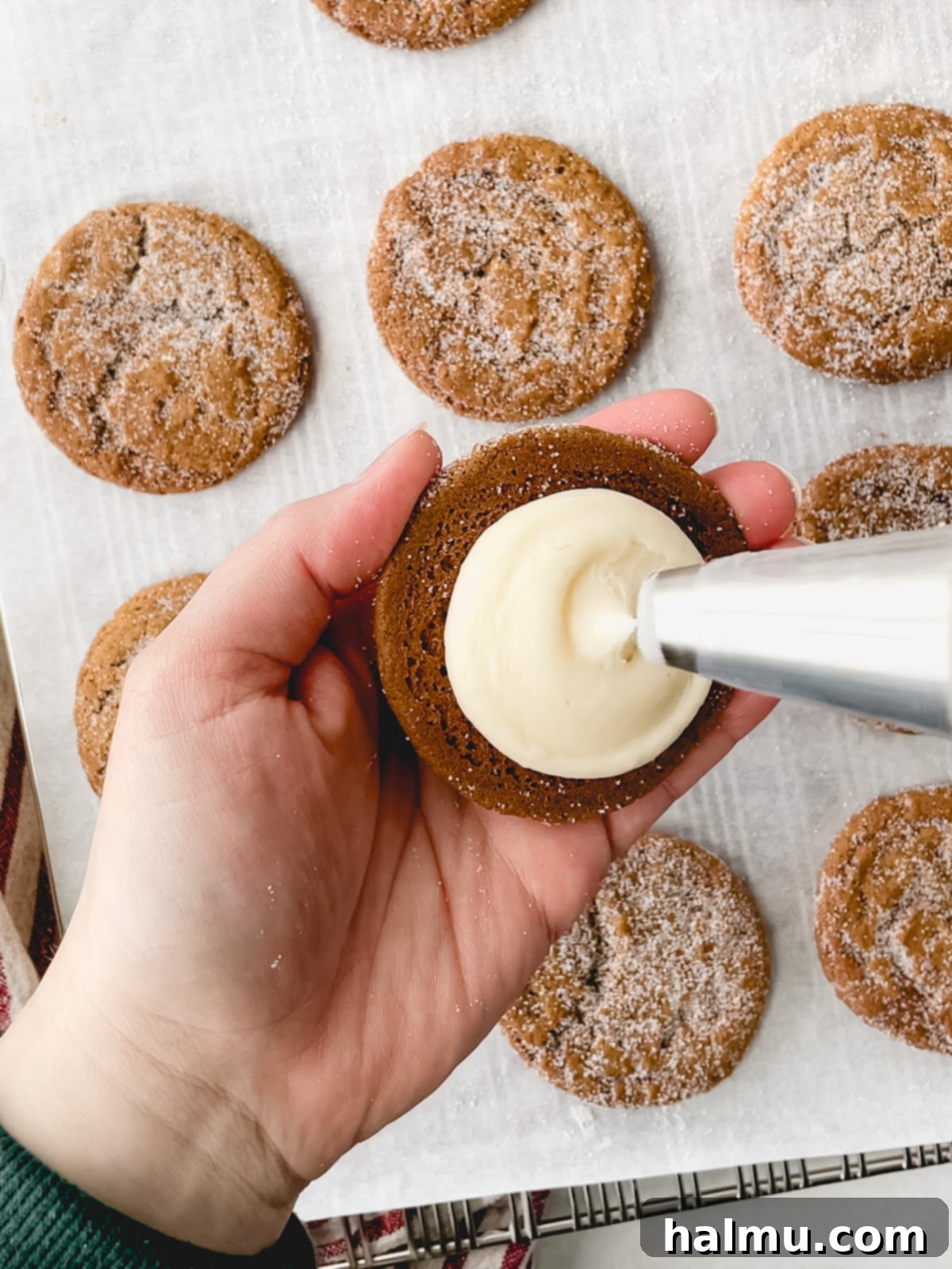 Ginger Molasses Sandwich Cookies 6 Assembled ginger molasses cookie sandwiches displayed on a wire cooling rack.