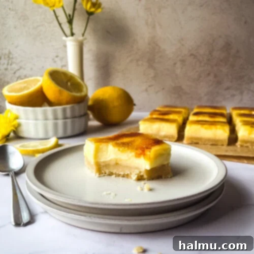 A single Lemon Brûlée Bar with a perfect caramelized top, showing the creamy lemon filling.