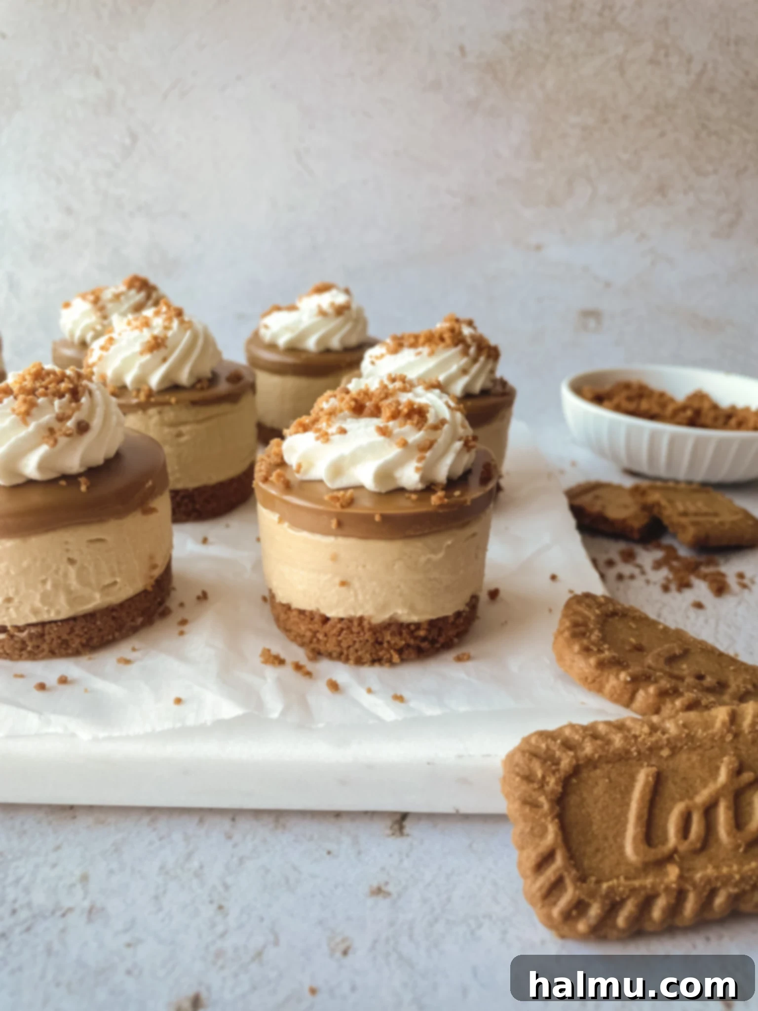Luscious Biscoff Cheesecake Bites 2 Delightful Mini Biscoff Cheesecakes: A No-Bake Indulgence