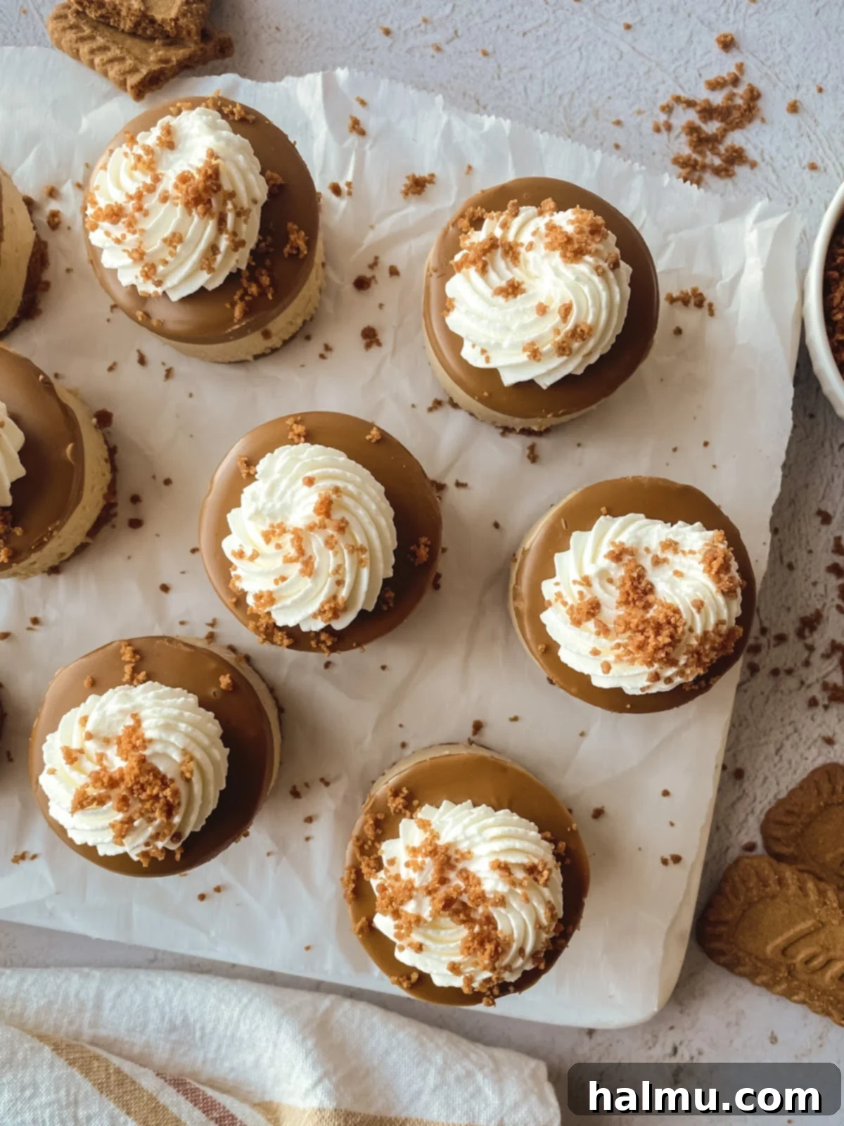 Luscious Biscoff Cheesecake Bites 3 Making the Biscoff cookie crust for mini cheesecakes