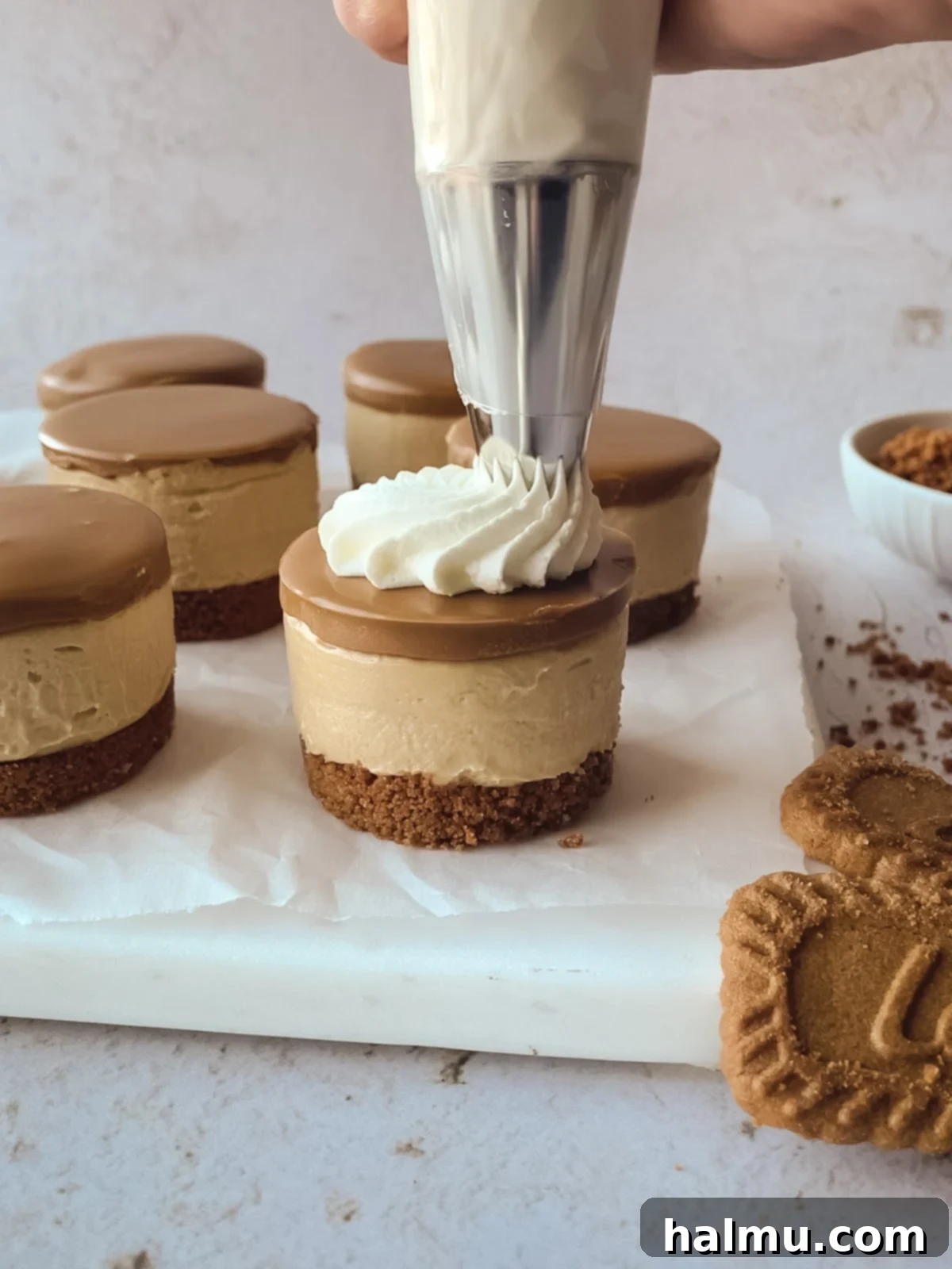 Luscious Biscoff Cheesecake Bites 6 A selection of essential tools for baking and dessert making