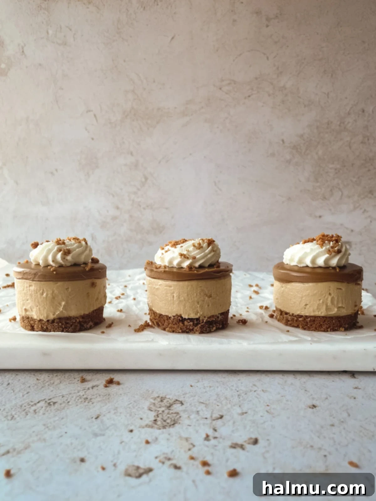 Luscious Biscoff Cheesecake Bites 7 Seven beautifully presented Mini Biscoff Cheesecakes with whipped cream and crumbs