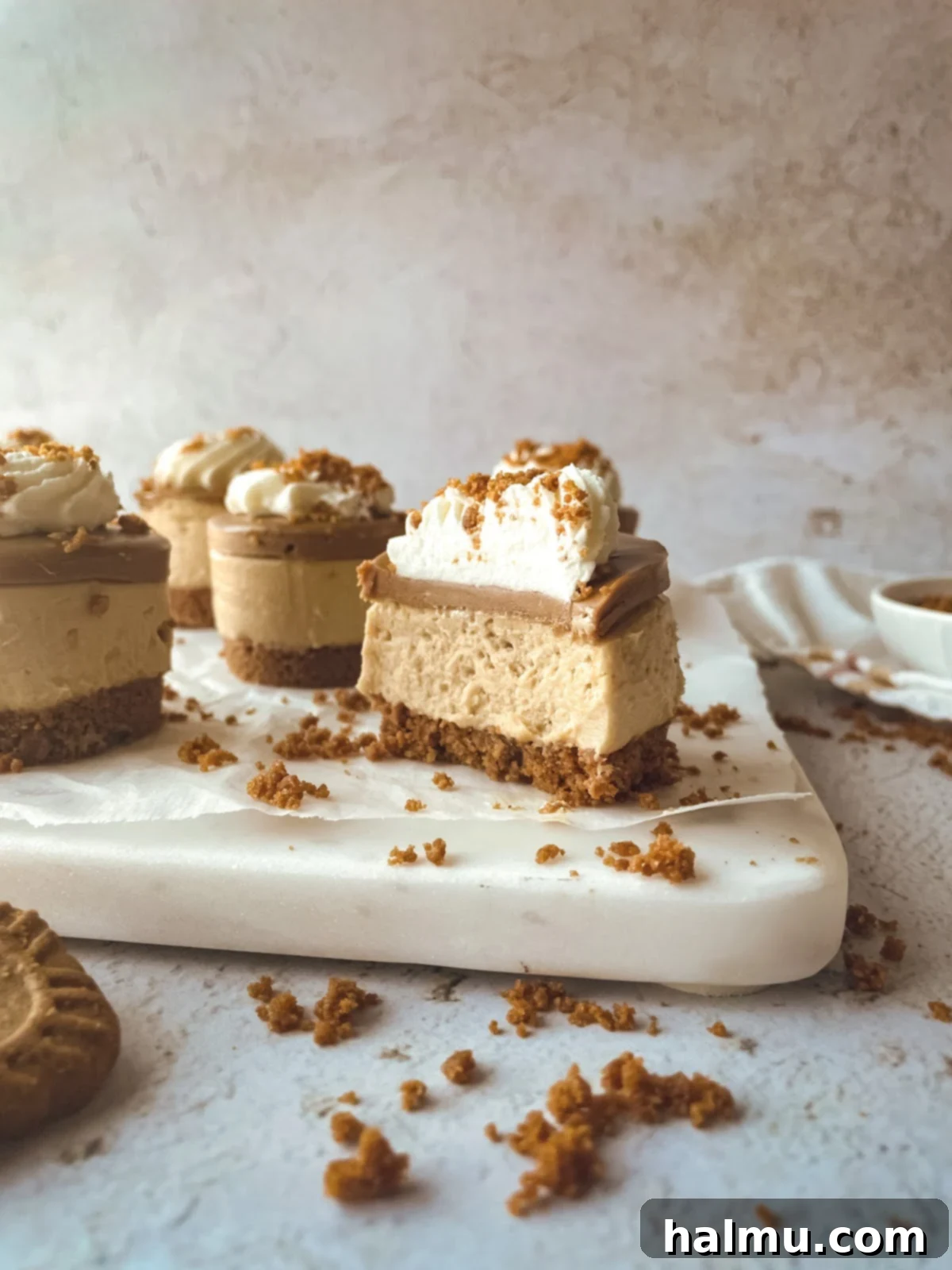 Luscious Biscoff Cheesecake Bites 8 Delicious Mini Biscoff Cheesecakes ready to be enjoyed