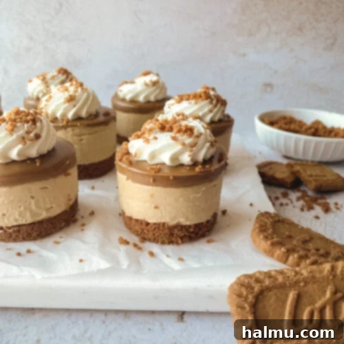 Luscious Biscoff Cheesecake Bites 9 Mini Biscoff Cheesecakes with a swirl of whipped cream and cookie crumbs on top