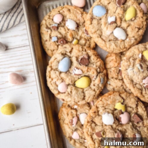 Mini Egg Oatmeal Cookies 9 A close-up of a Mini Egg Oatmeal Cookie with visible chocolate and oats.