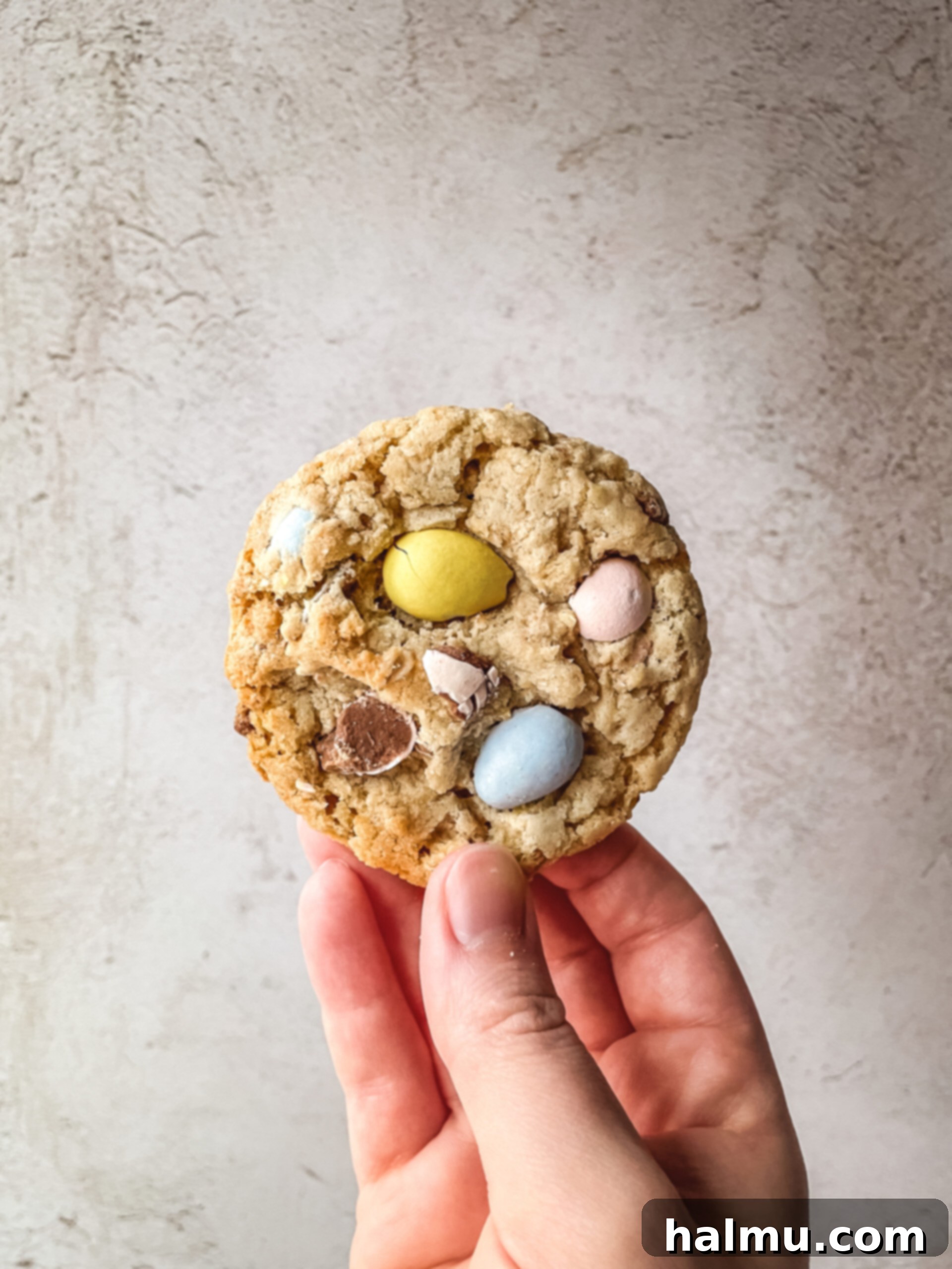 Mini Egg Oatmeal Cookies 6 Freshly baked Mini Egg Oatmeal Cookies cooling on a wire rack.