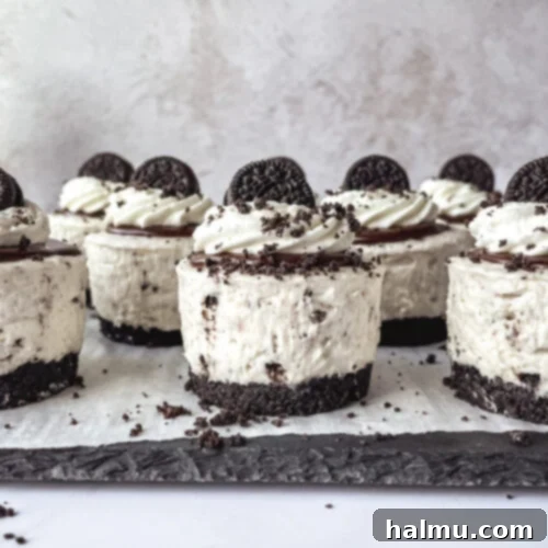 Finished Mini Oreo Cheesecakes with whipped cream and mini Oreos on top, ready to serve