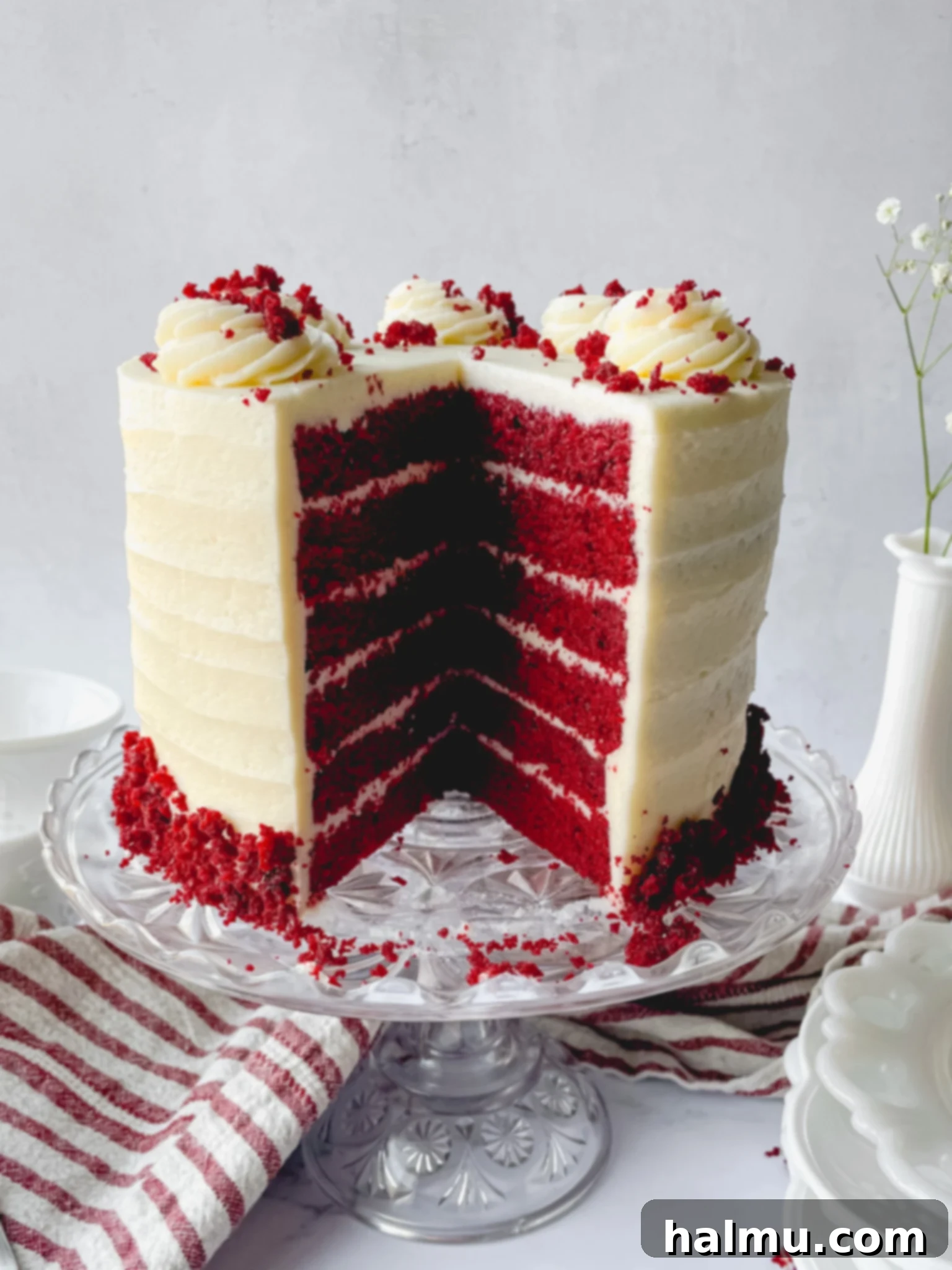 Heirloom Red Velvet Cake 4 The finished Old Fashioned Red Velvet Cake, decorated with ridged frosting on the sides and rosettes on top, adorned with cake crumbs.