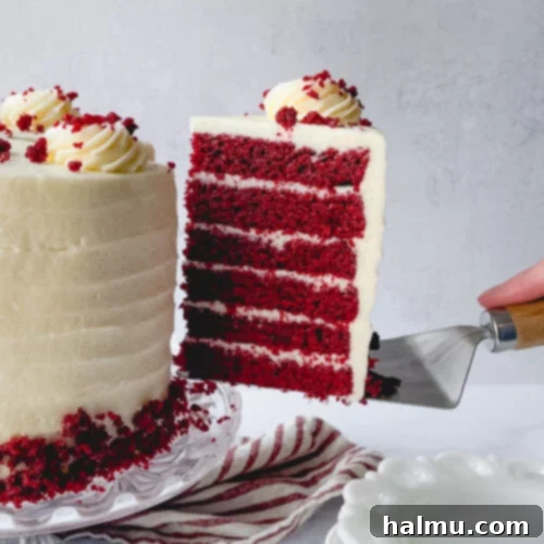 Heirloom Red Velvet Cake 8 Old Fashioned Red Velvet Cake with smooth white frosting, topped with crumbs and rosettes.