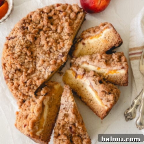 Heavenly Peach and Cream Crumb Cake 8 A top-down shot of a fully baked Peaches & Cream Crumb Cake in a springform pan.