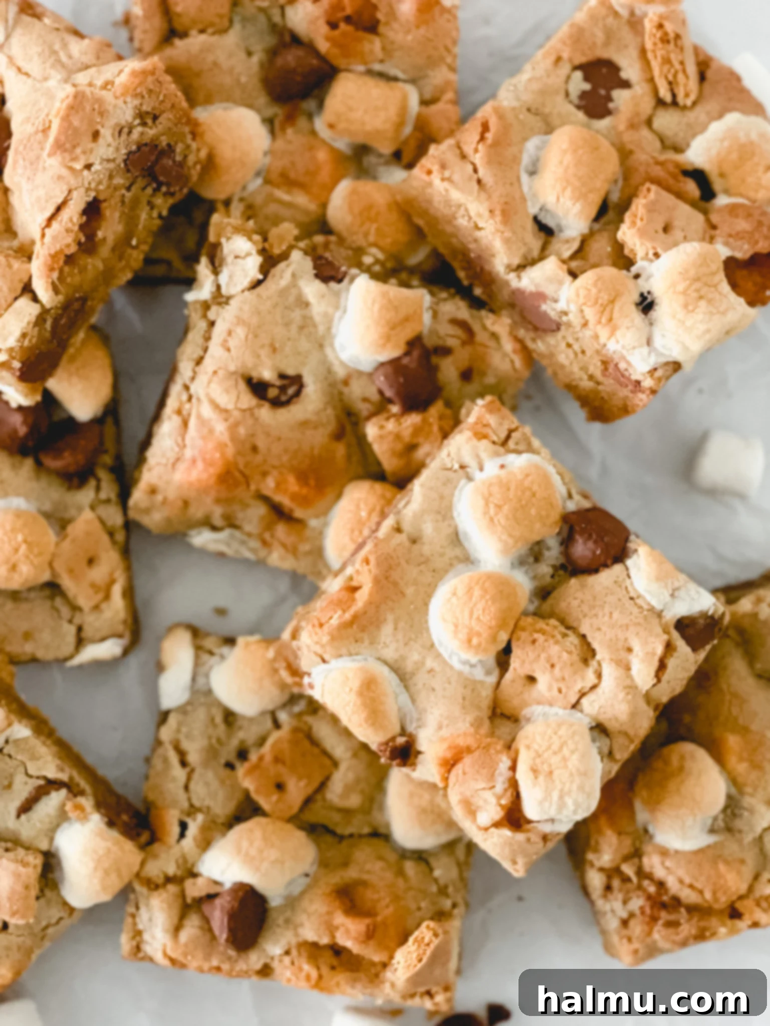 Gooey S'mores Blondies with toasted marshmallows and chocolate chips.