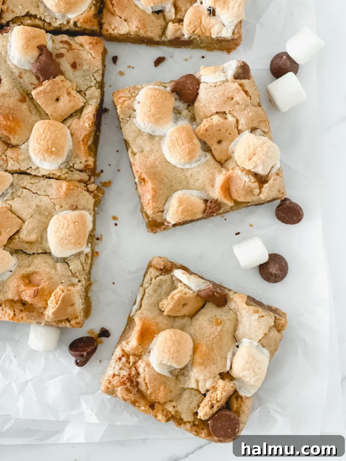 Close-up of a S'mores Blondie bar with a golden-brown top.