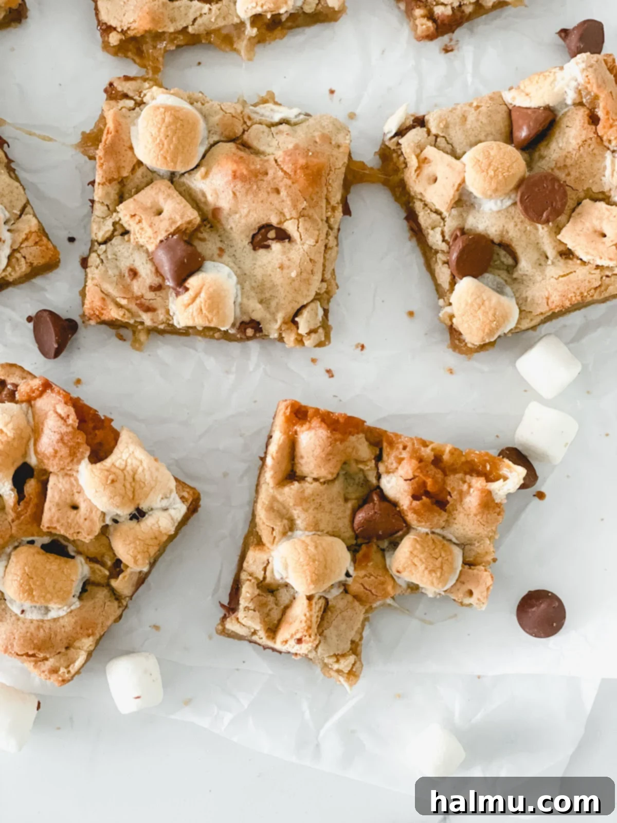A final close-up of a S'mores Blondie, showcasing its toasted toppings.