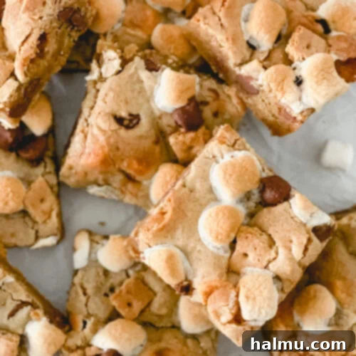 Delicious S'mores Blondies recipe card image.