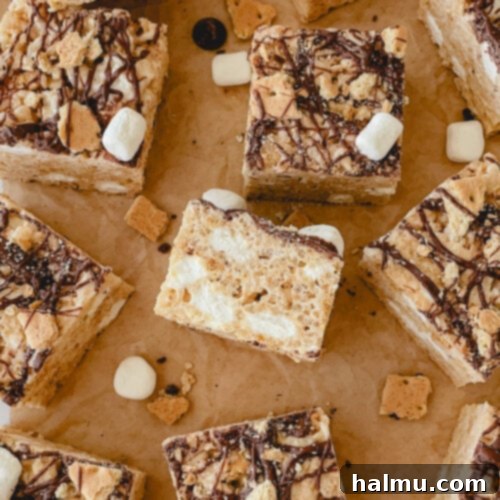S'mores Rice Krispie Treats, beautifully arranged with chocolate drizzle and graham cracker crumbs.