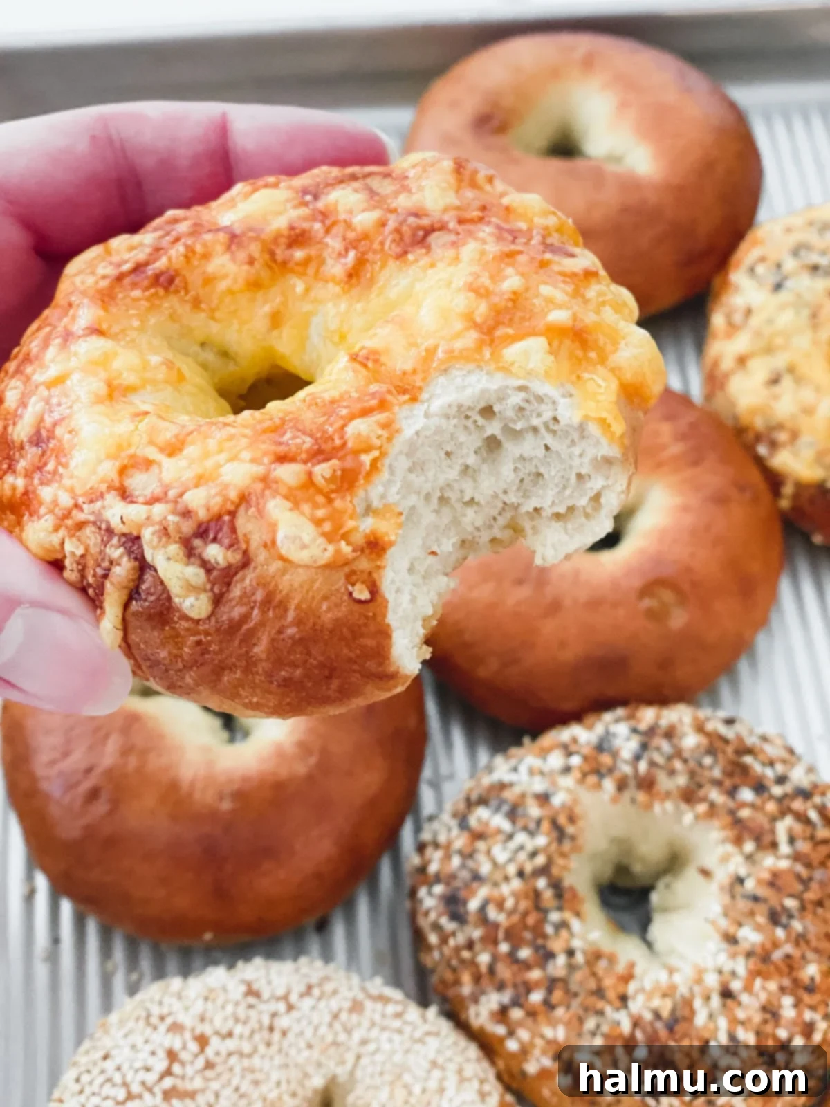 Deliciously Soft and Chewy Bagels 4 Various ingredients for bagel making, including flour, yeast, salt, and brown sugar, laid out on a table