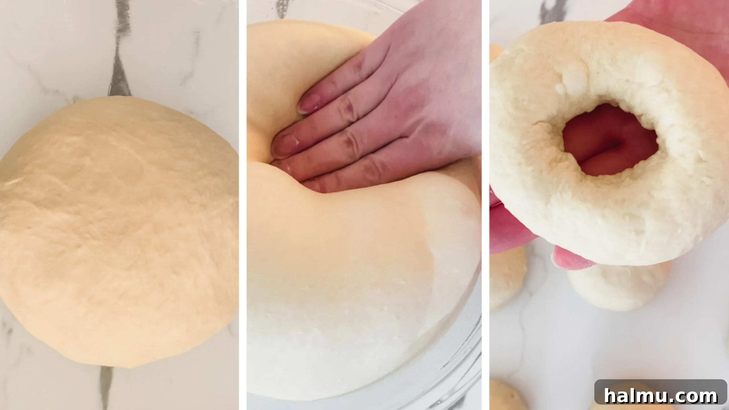 Deliciously Soft and Chewy Bagels 6 An array of freshly baked homemade bagels with different toppings like everything seasoning, cheese, and plain