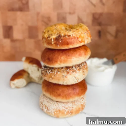Deliciously Soft and Chewy Bagels 9 A close-up of a freshly baked bagel with melted cheddar cheese and everything seasoning
