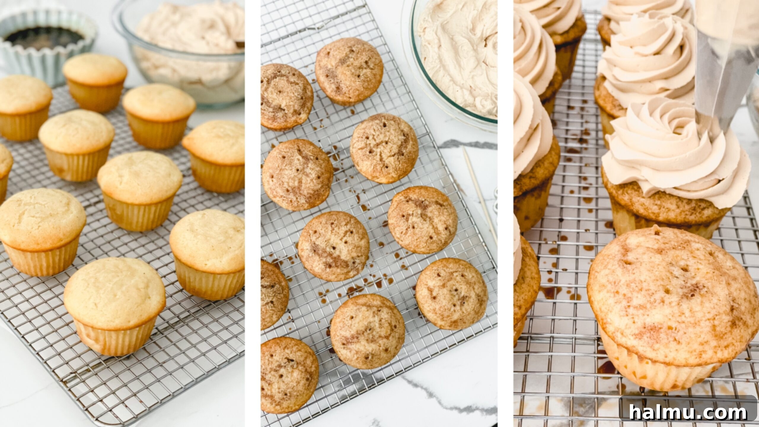 Decadent Tiramisu Cupcakes 5 Several Tiramisu Cupcakes, beautifully frosted and dusted with cocoa, arranged on a marble surface.