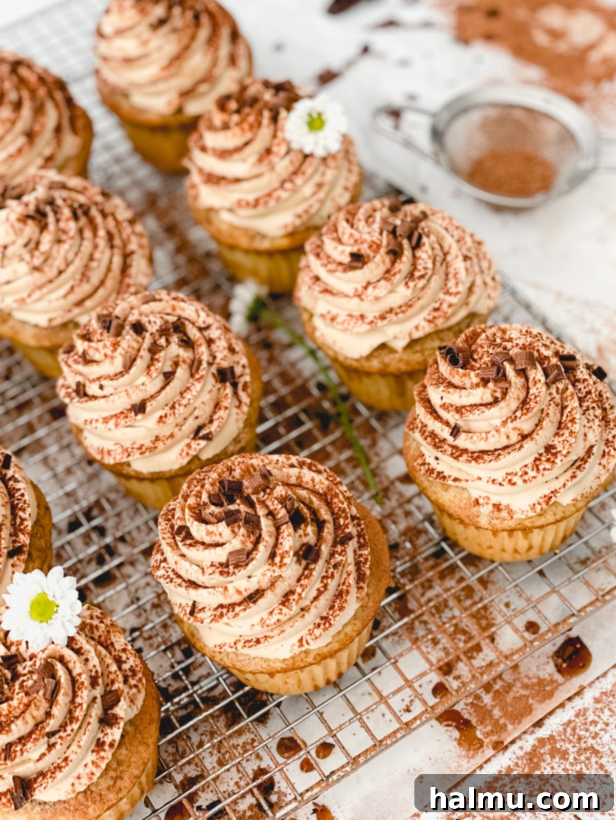 Decadent Tiramisu Cupcakes 6 A stunning shot of a single Tiramisu Cupcake, beautifully piped with icing and dusted with cocoa, ready to be enjoyed.