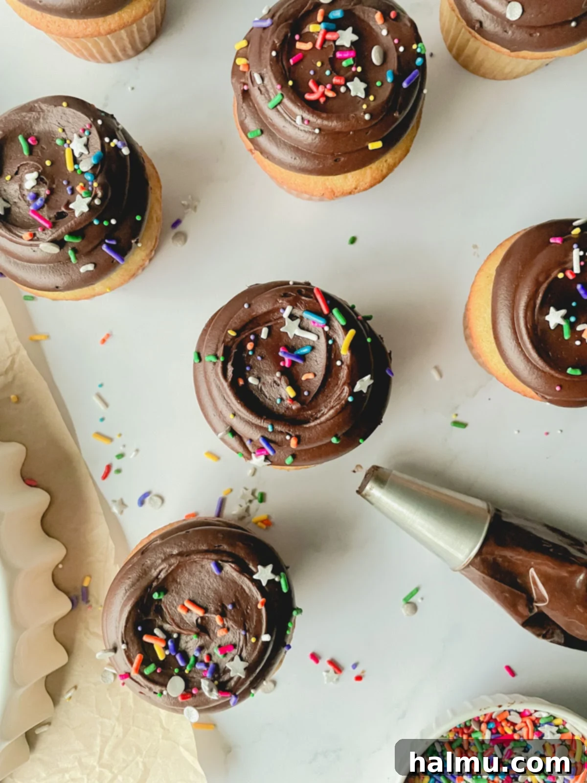 Assortment of vanilla cupcakes with chocolate frosting, decorated with various sprinkles