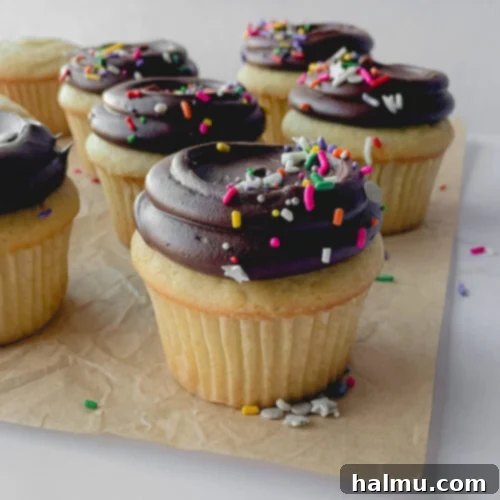 Finished vanilla cupcake with chocolate frosting and sprinkles