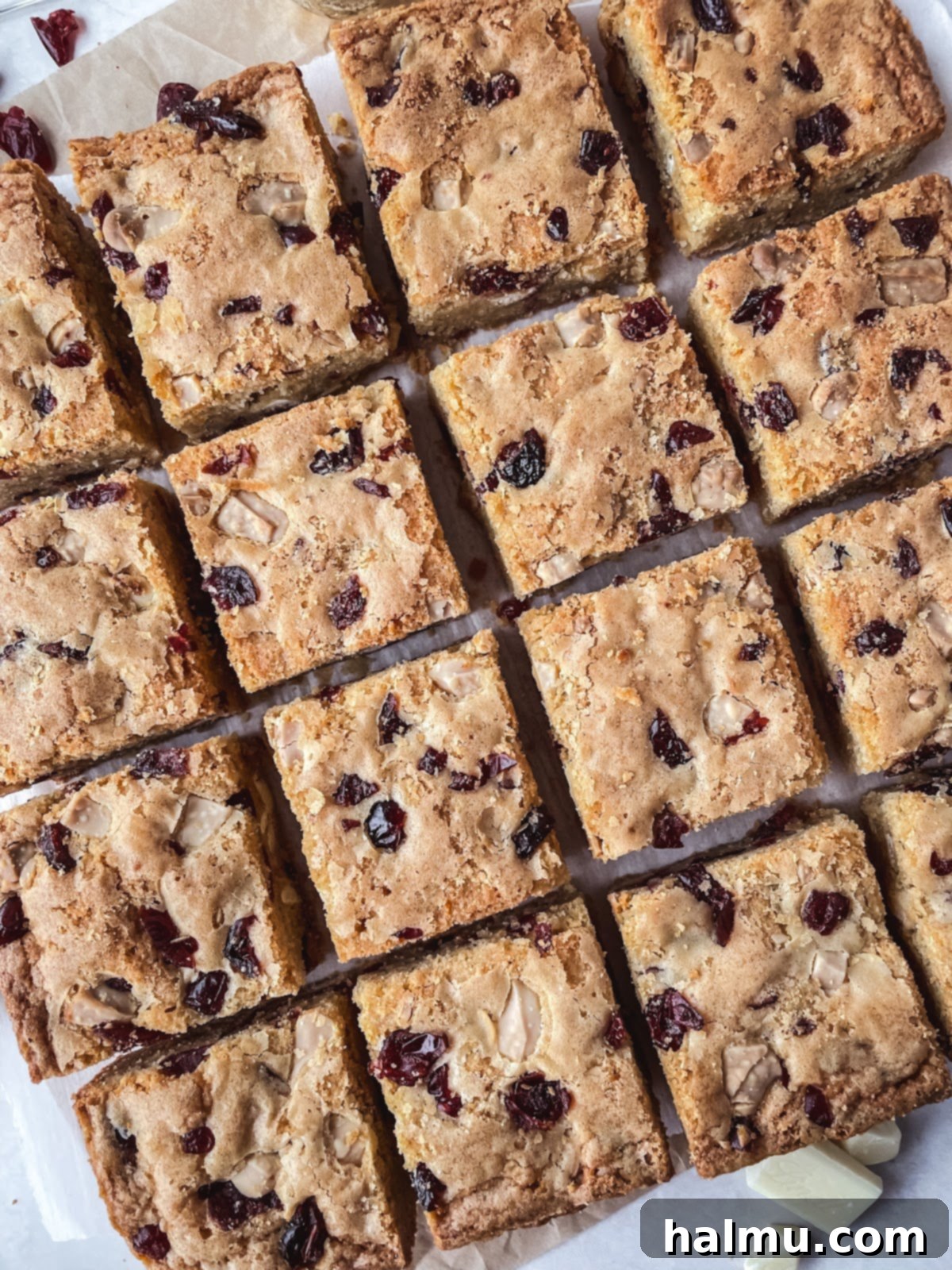 Freshly baked White Chocolate Cranberry Blondies cooling in a square baking pan.