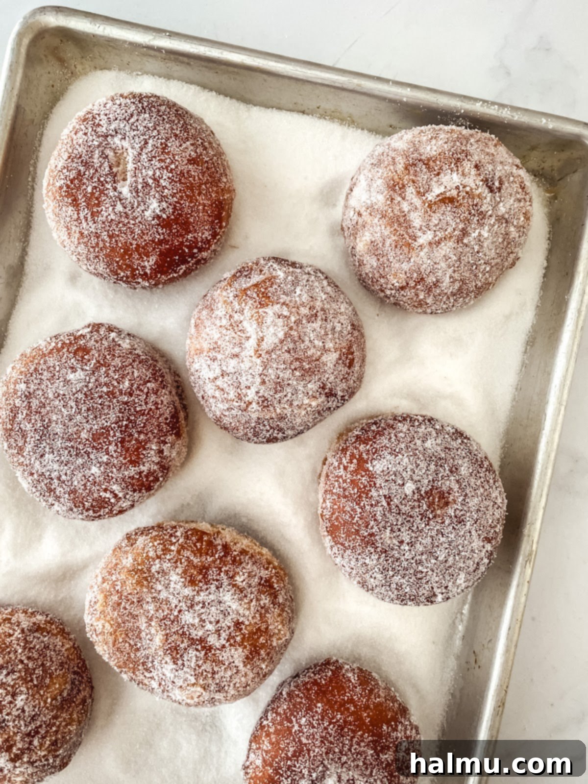 Decadent Chocolate Custard Brioche Donuts 6 A close-up of a chocolate custard brioche donut, sliced open to reveal the creamy filling, with chocolate shavings on top.