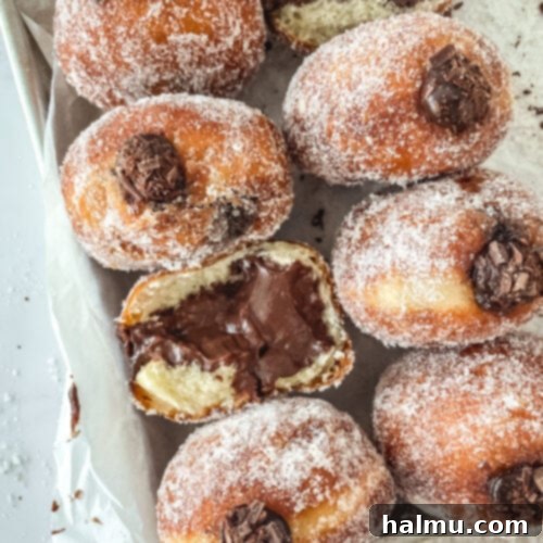 Decadent Chocolate Custard Brioche Donuts 9 A finished Chocolate Custard Brioche Donut with chocolate shavings, ready to be enjoyed.