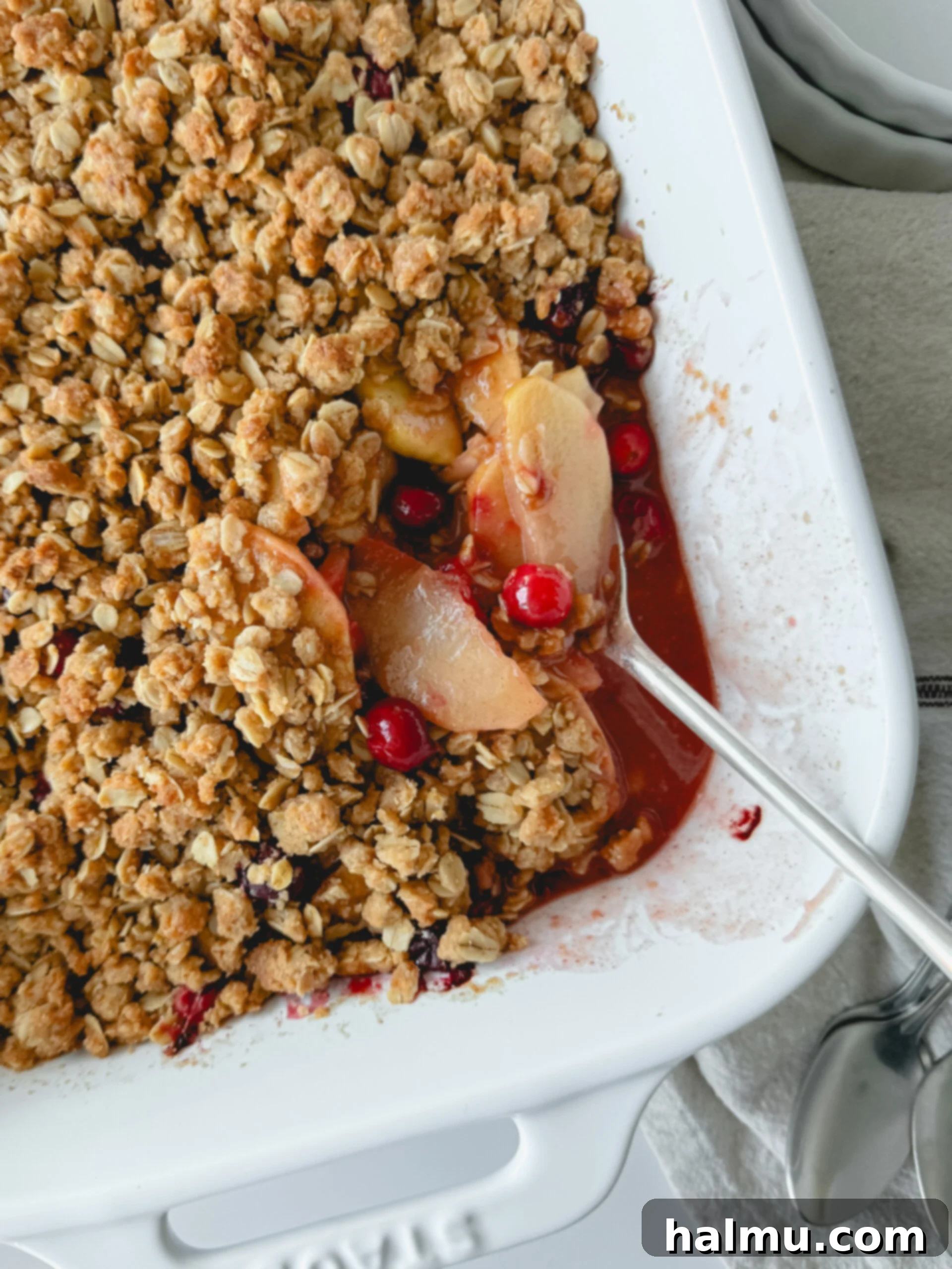 Warm Cranberry Apple Crisp dessert served with a scoop of vanilla ice cream