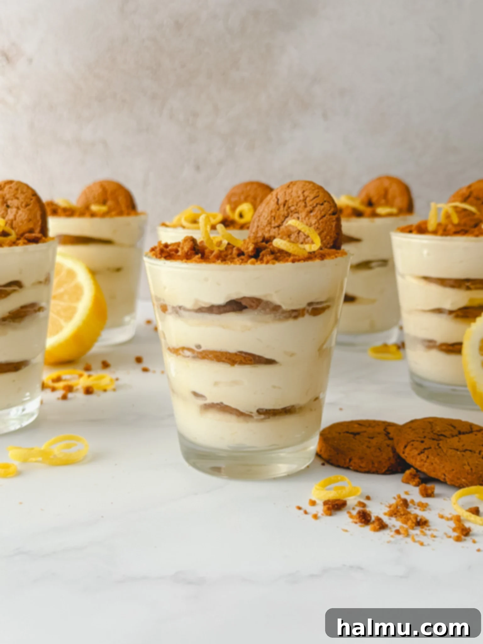 Zingy Gingersnap Tiramisu 2 Individual Lemon Gingersnap Tiramisu cups, beautifully layered and garnished.