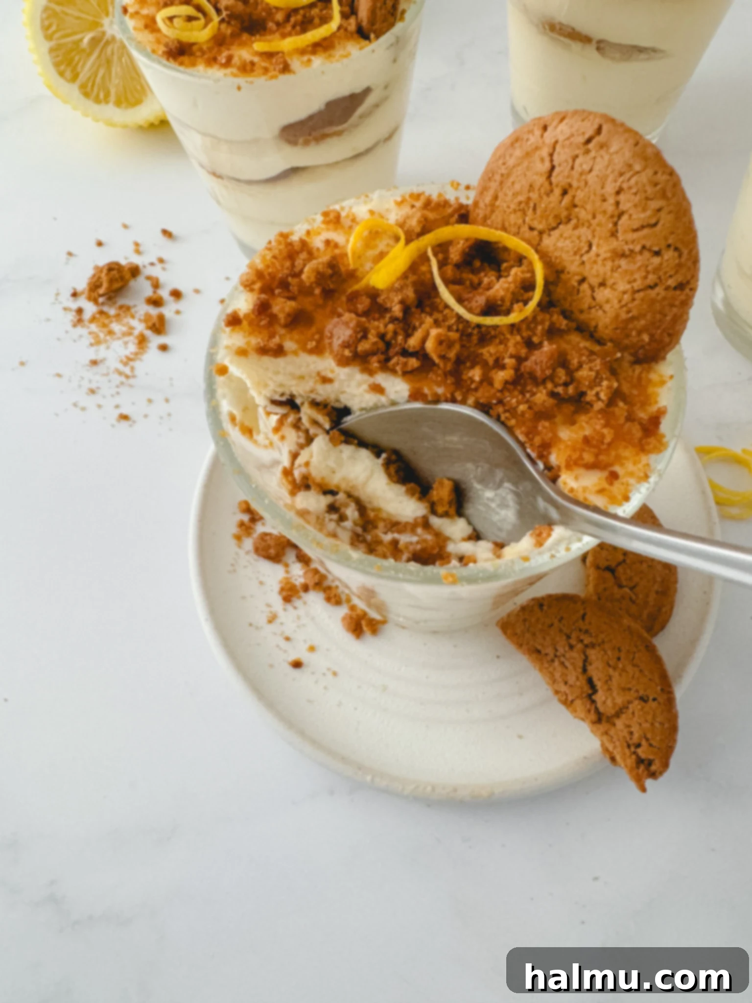 Zingy Gingersnap Tiramisu 7 A beautifully presented Lemon Gingersnap Tiramisu, garnished with lemon zest and a gingersnap cookie.