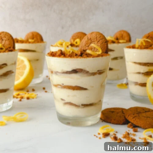 Zingy Gingersnap Tiramisu 8 Finished Lemon Gingersnap Tiramisu in individual cups, ready to serve.